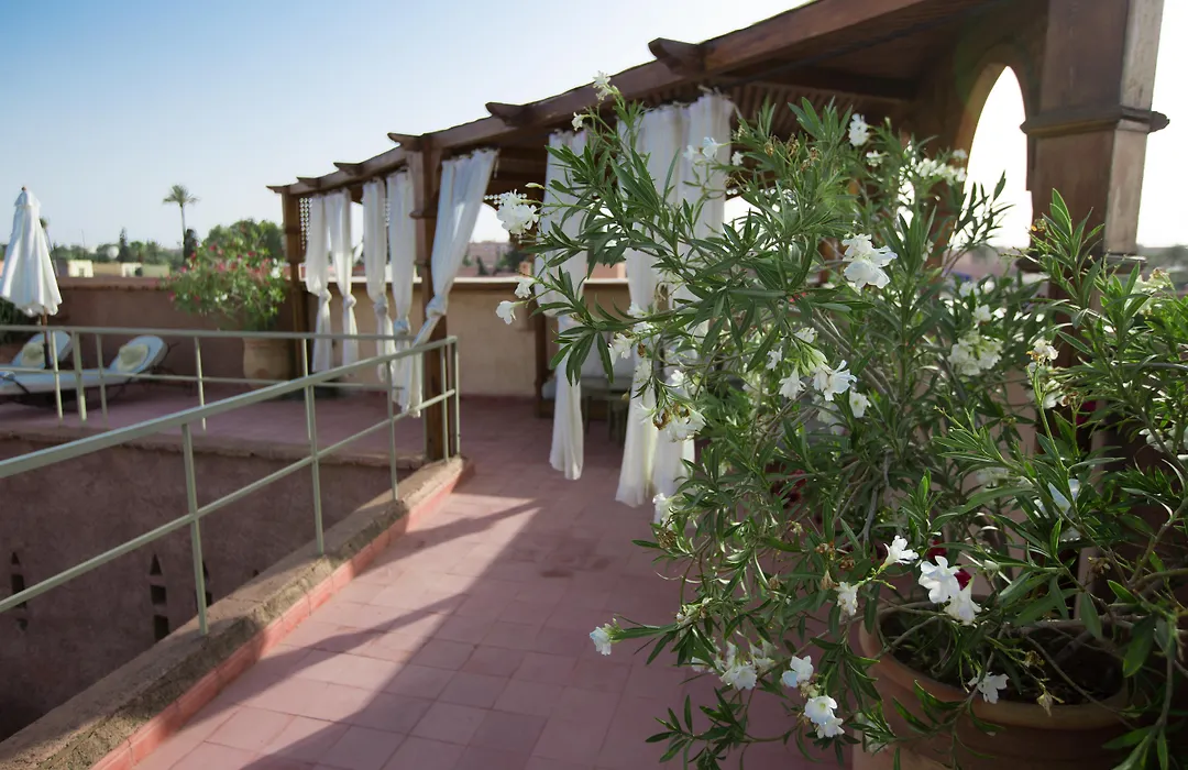 Riad Altair-1