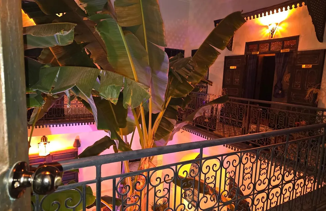 Riad Aloes & Spa (Adults Only)-1