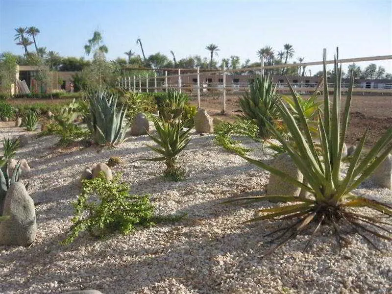 Dar Guerris-1