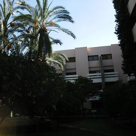 Hotel Amine-3