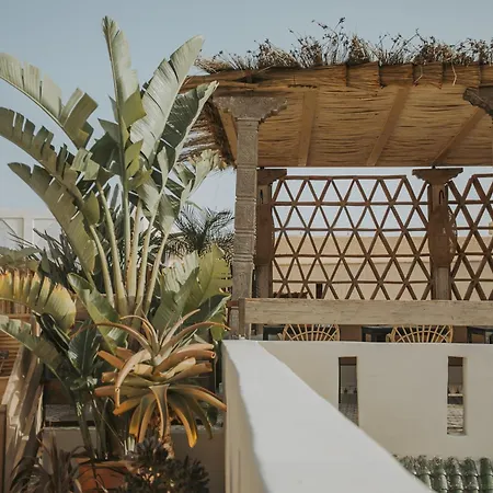 Riad K-3