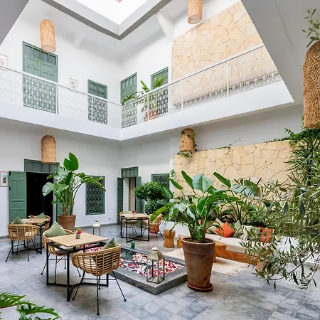 Riad Villa Wenge & Spa-3