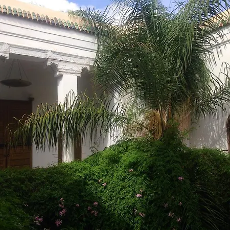 Riad Al Assala-3