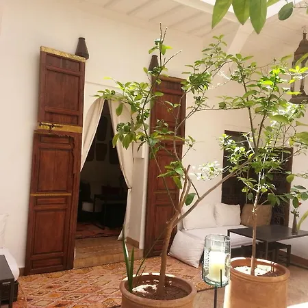 Riad Azza-3