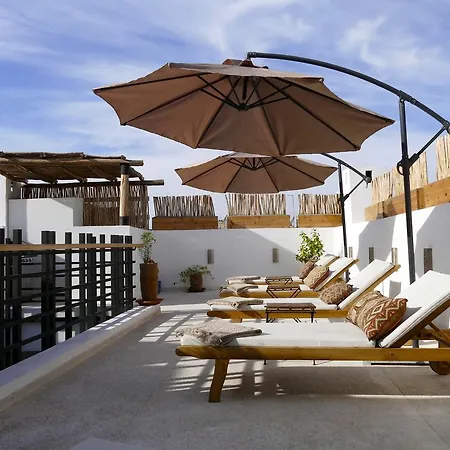 Riad Zebrakaro-2